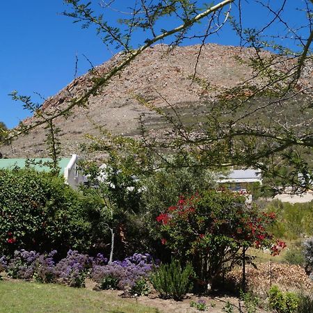 White Lily Villa Montagu Exterior photo